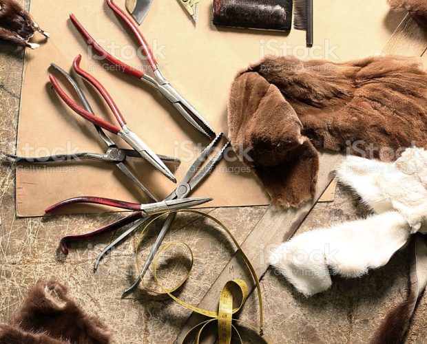 Workshop furrier, utensils, tools and pieces of natural fur